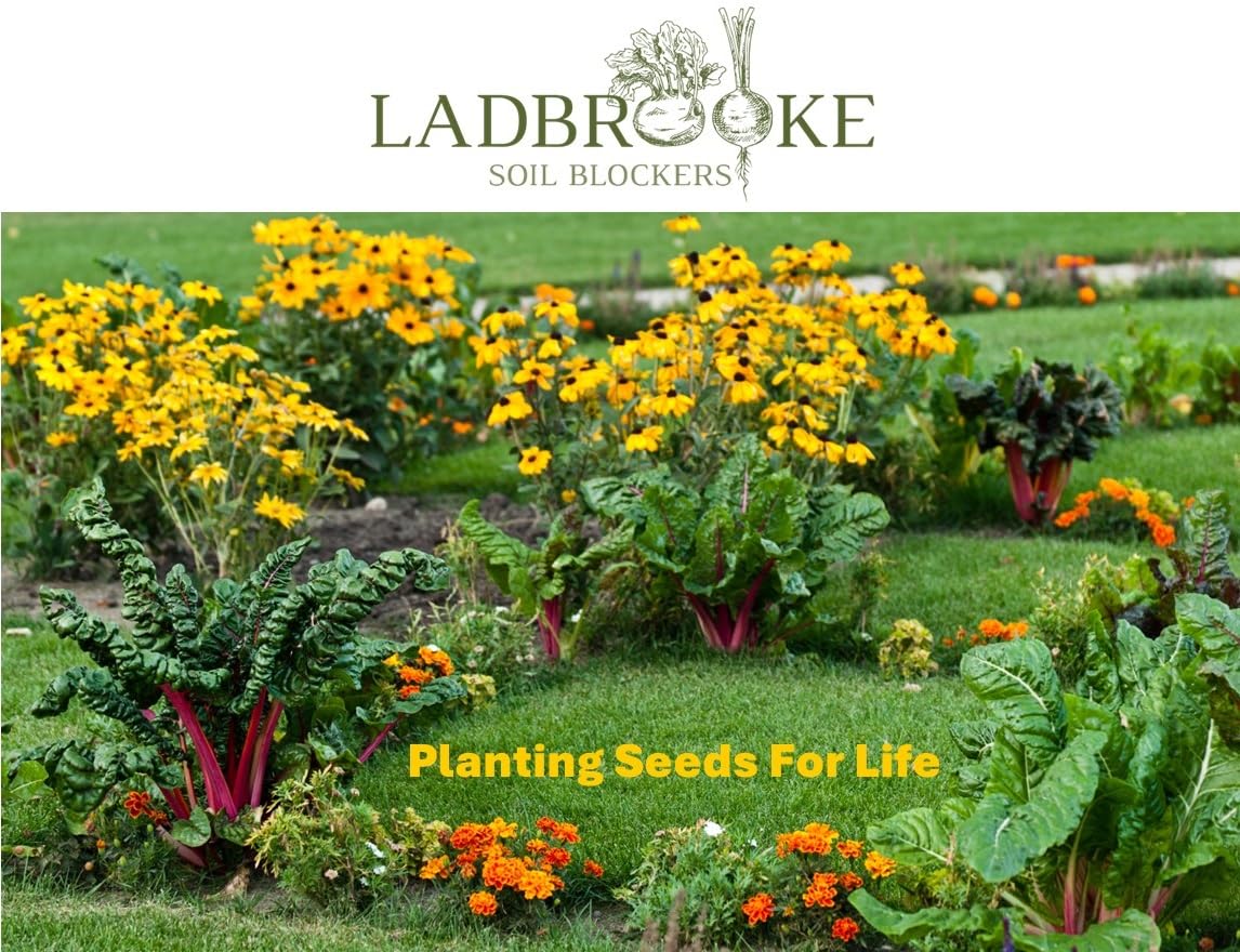 Ladbrooke Seed Pins highlight accurate seed placement in each block