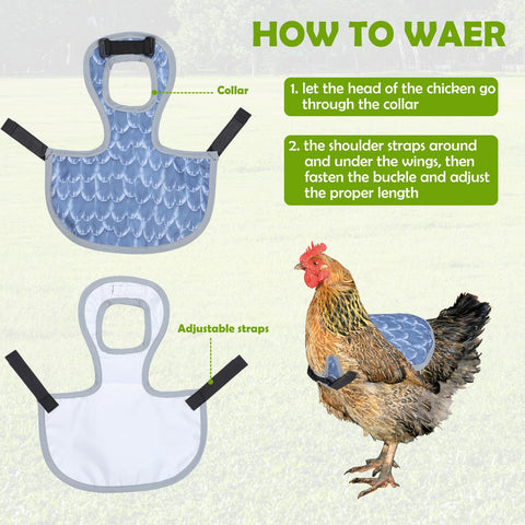 Laelr saddle with adjustable shoulder straps for a secure fit on hens.