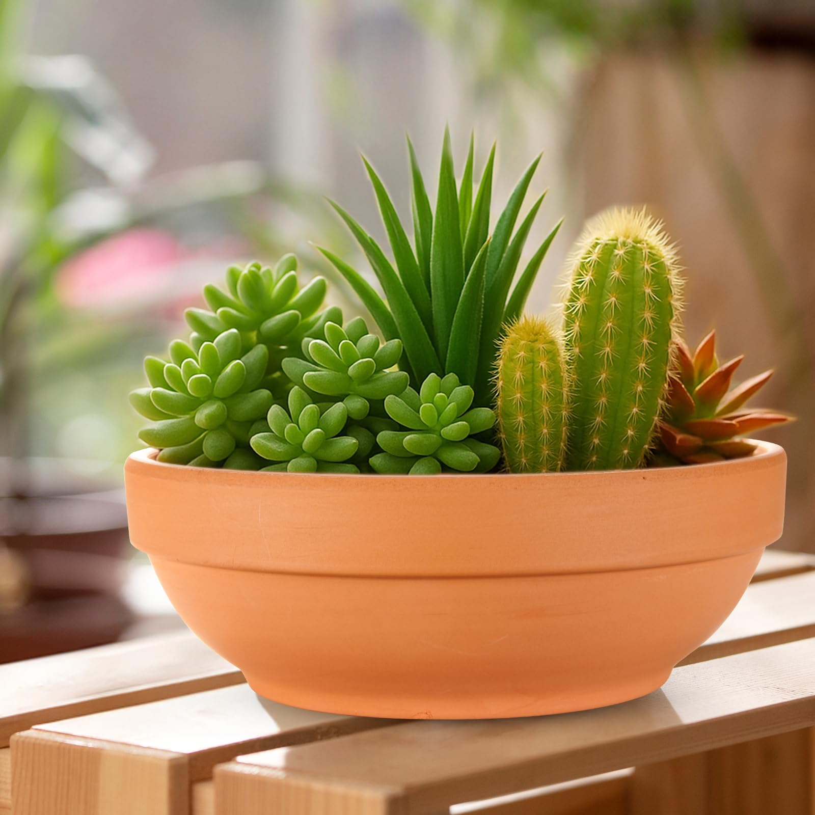 Laerjin breathable clay pot promotes airflow for healthier root growth.