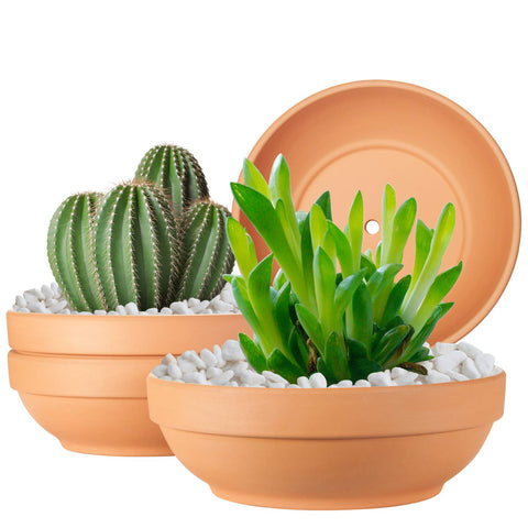 Laerjin clay pot with 7.67-inch diameter, ideal for versatile indoor planting.