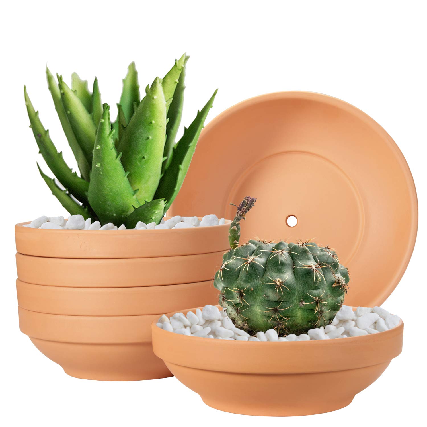 Laerjin terra cotta pot, 6.43-inch diameter, excellent drainage for healthy roots.