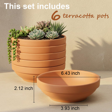 Laerjin pot with bottom drain holes promoting proper soil drainage and airflow.