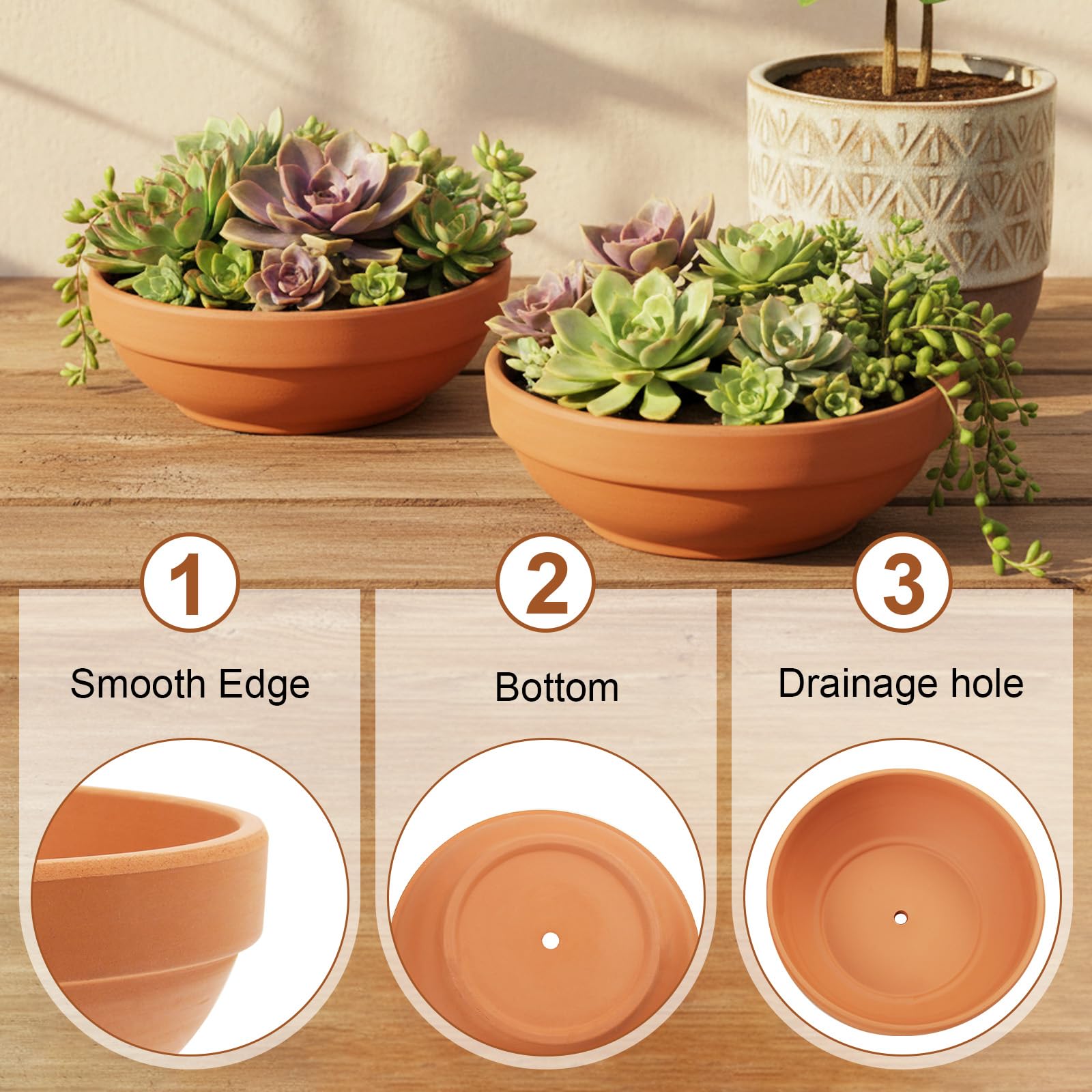 Laerjin terra cotta pot side view showing classic warm color.