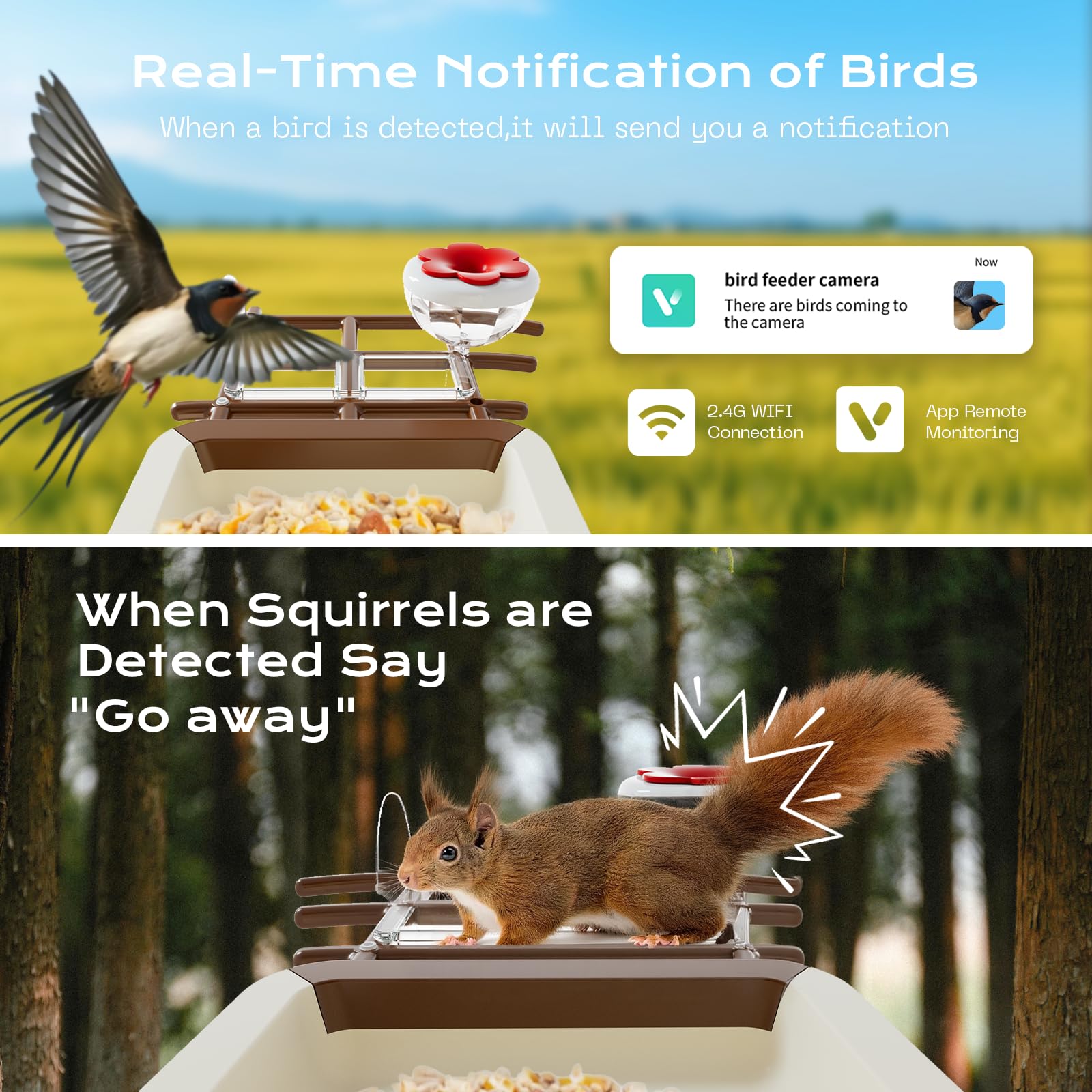 Lagriner 2K HD video with night vision captures vivid birds