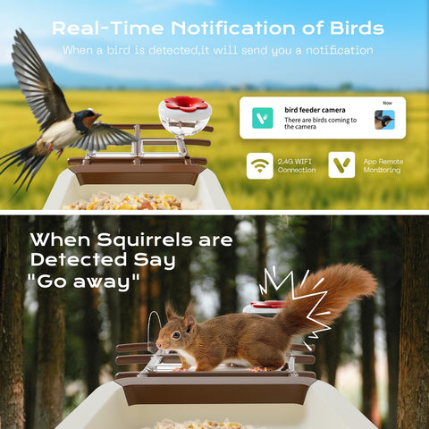 Lagriner 2K HD video with night vision captures vivid birds