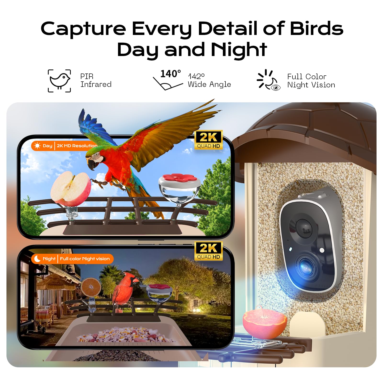 Lagriner AI bird identification feature identifies bird species