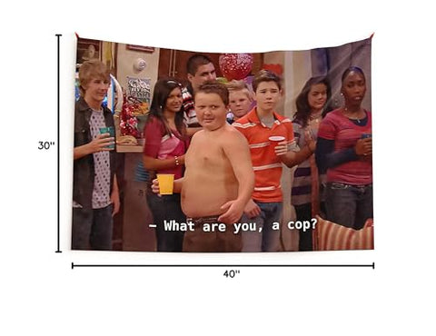 LAIX Gibby large 40x30 flag unfurled for dramatic focal point