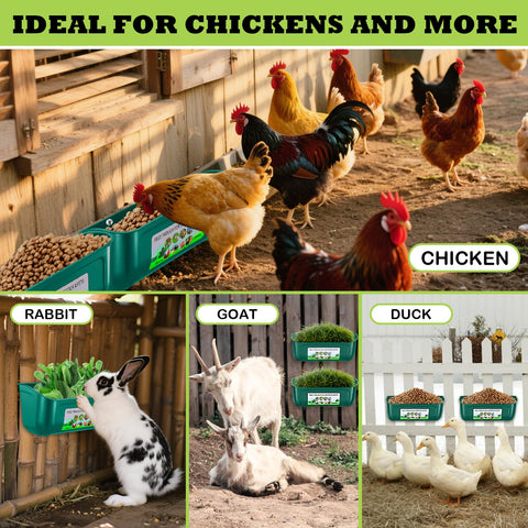 LaJasya 8-quart total capacity poultry feeder for multiple animals.
