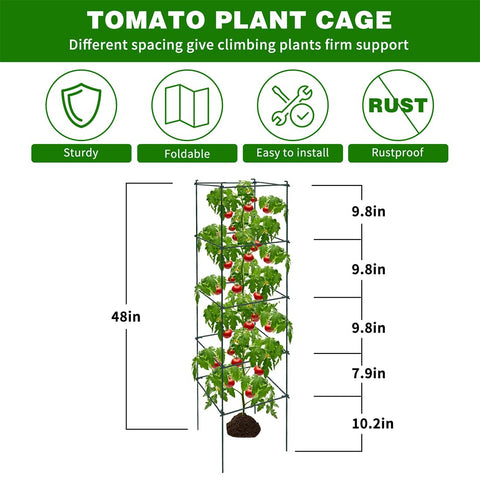 LAKNUAL heavy-duty wire trellis provides strong support for climbing plants in any garden.
