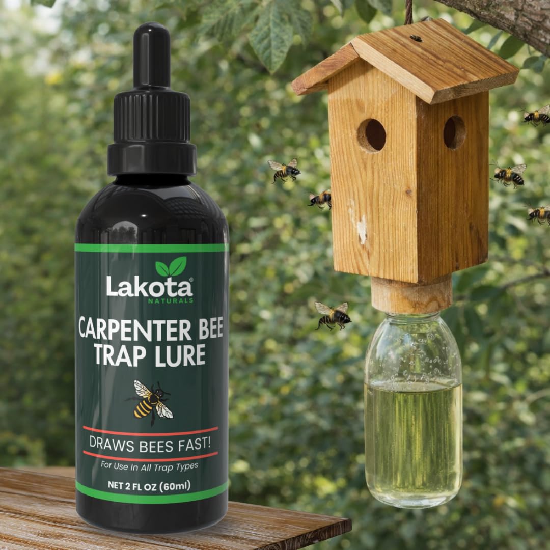 Lakota bee lure applied at trap entrance for effective attraction.