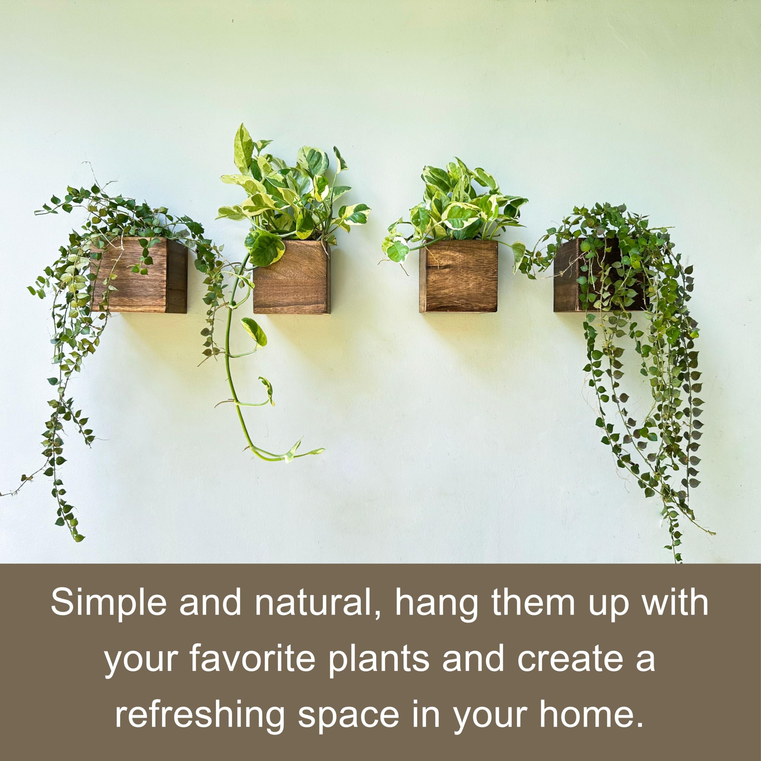 LaLaGreen gift-ready wood planter set for weddings and occasions.