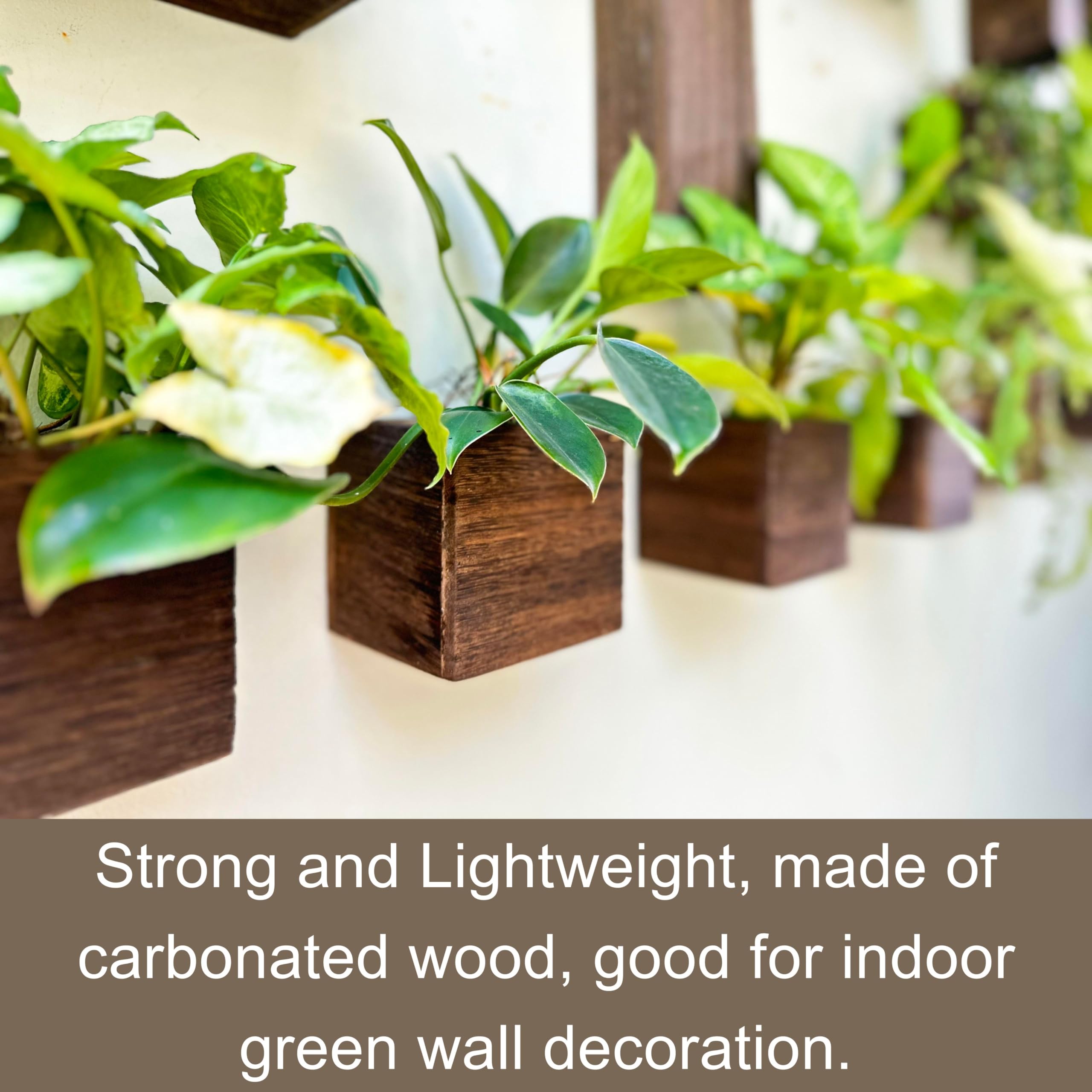 LaLaGreen small herb planter box for windowsill herb kits.
