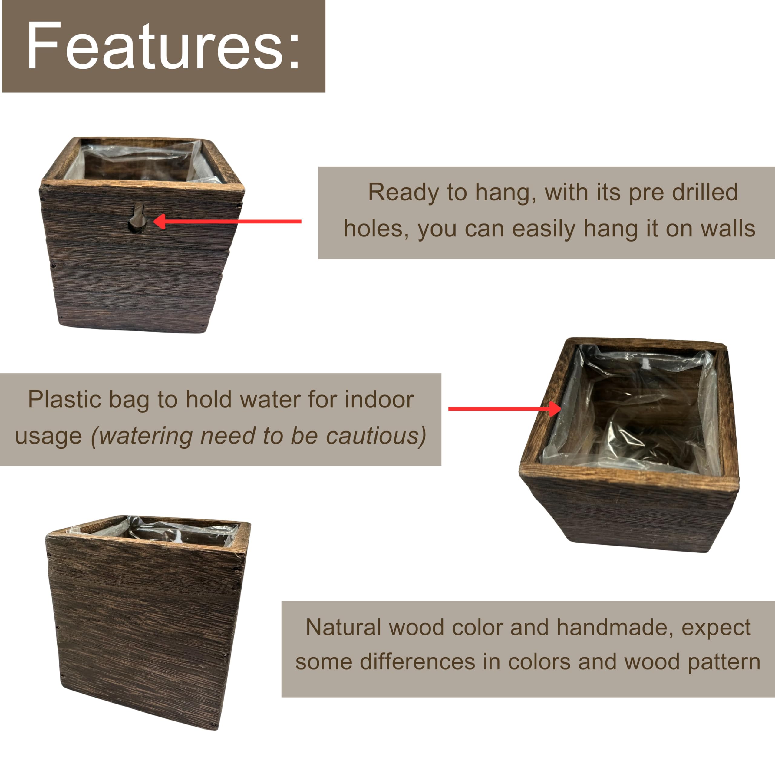 LaLaGreen table-top wood planter for desks and centerpieces.