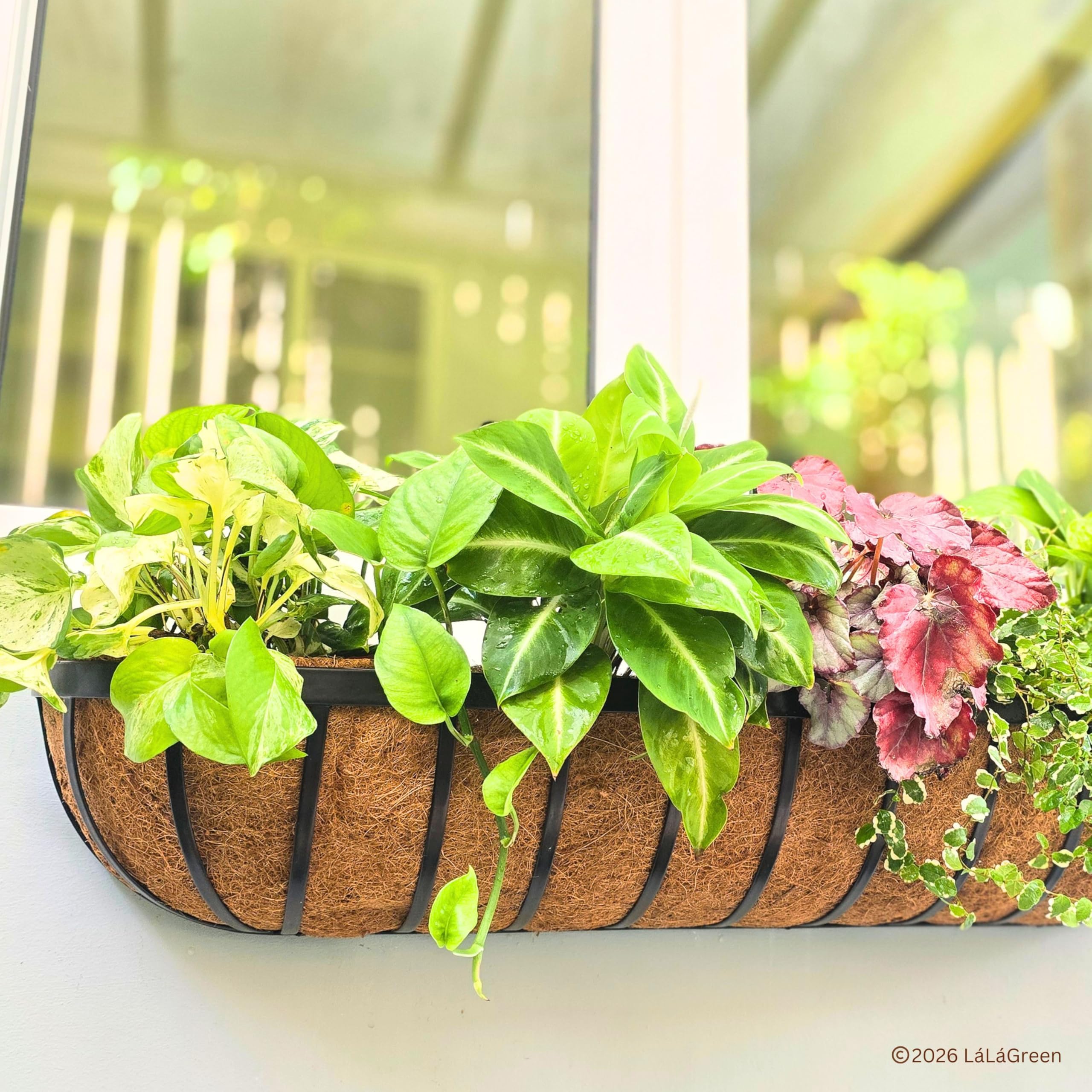 LaLaGreen eco-friendly natural material ideal for flowers and bedding plants