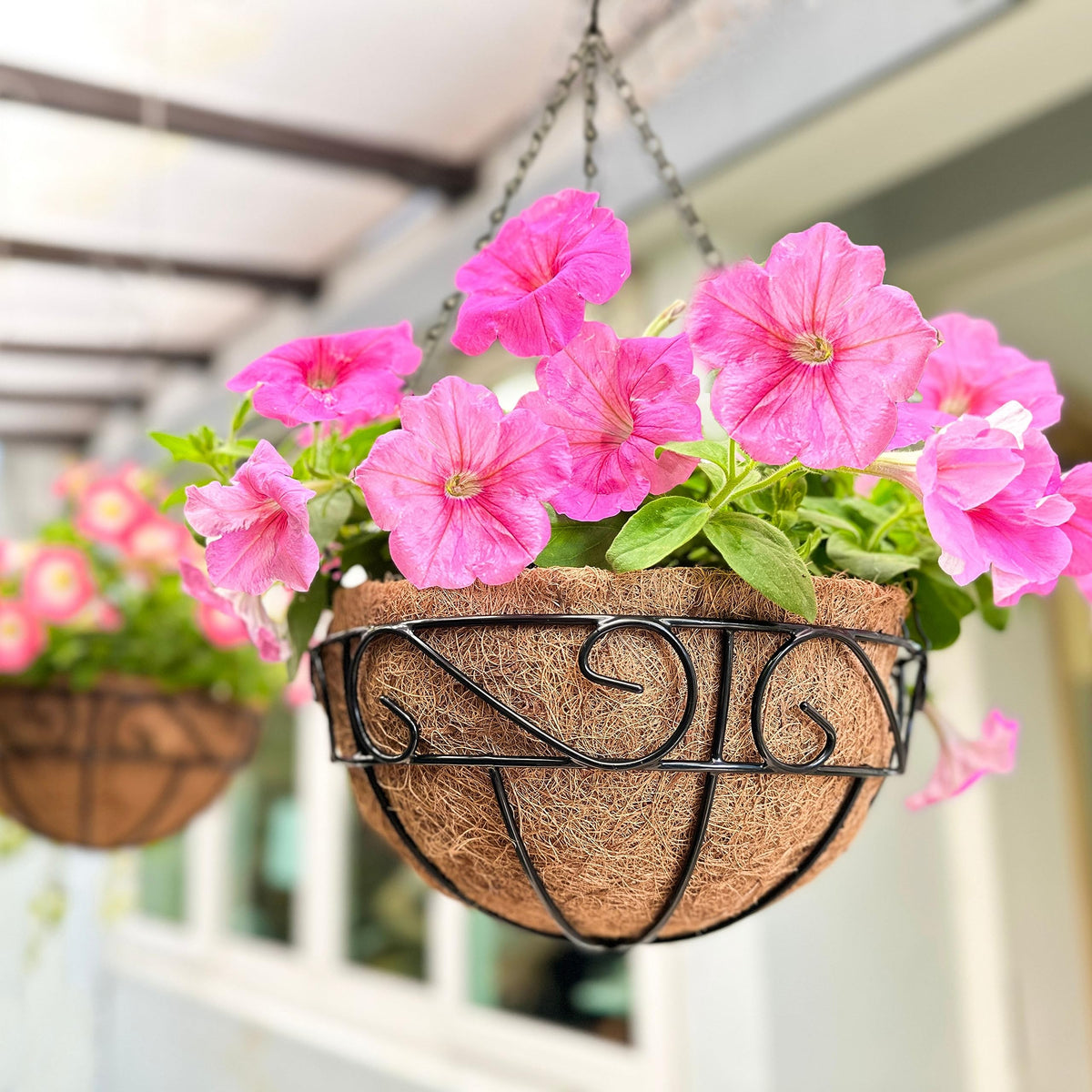 LáLáGreen hanging planter 12inch 2pack ready for outdoor display.