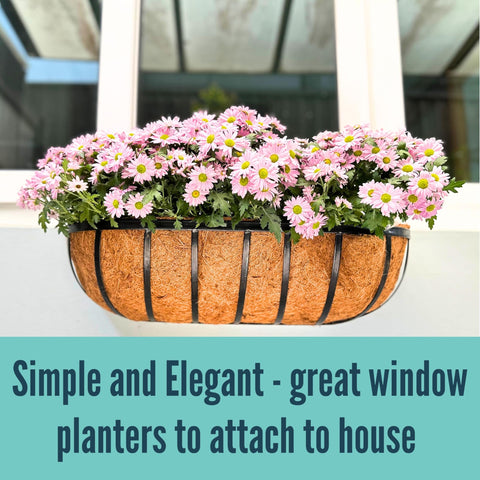 LáLáGreen versatile planter for porch, deck, or window boxes