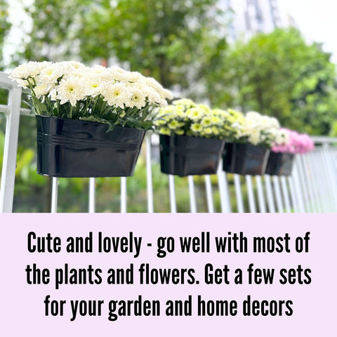 LaLaGreen railing planter on porch adds modern charm to exterior décor.