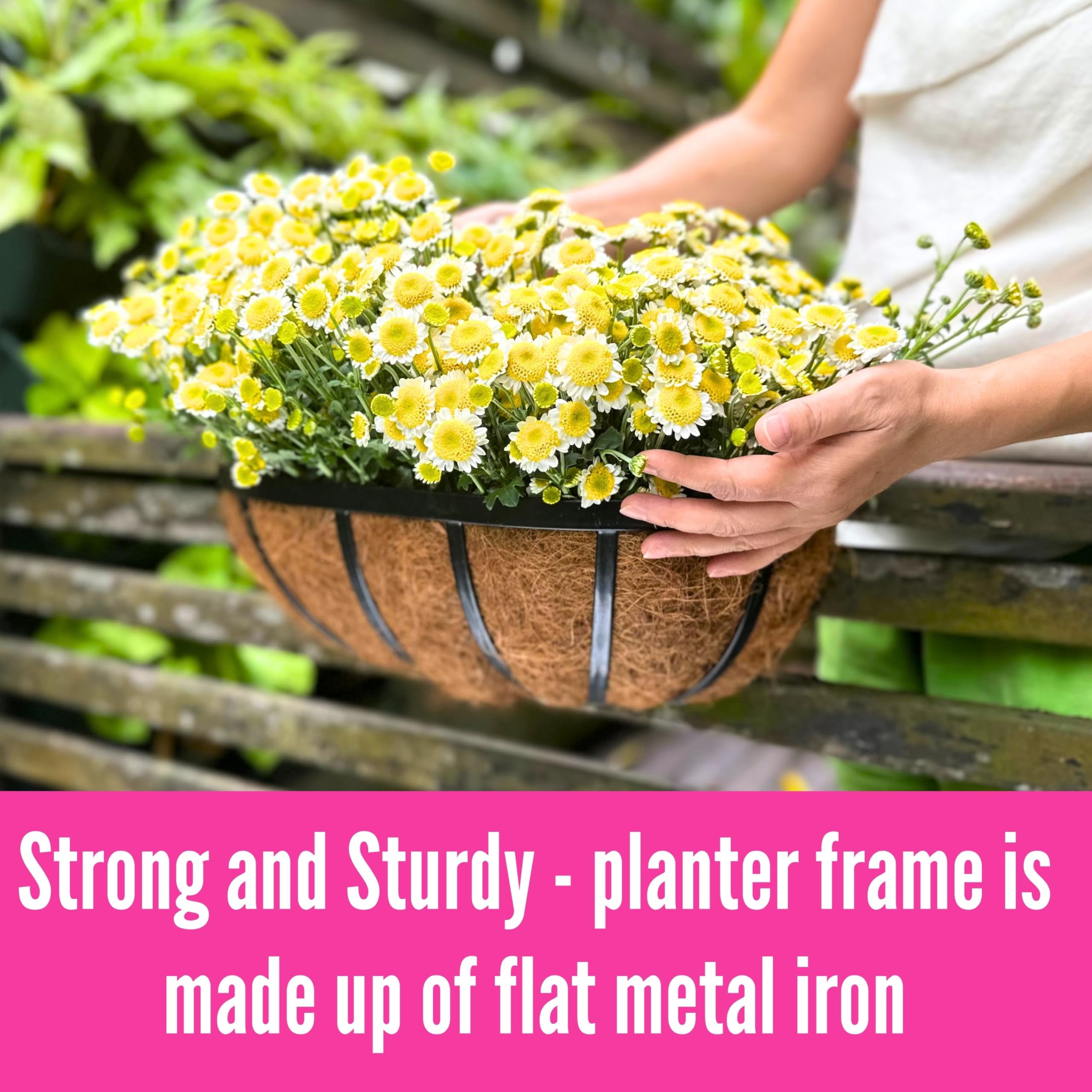LaLaGreen vertical garden setup ideal for flowers, herbs, and small vegetables