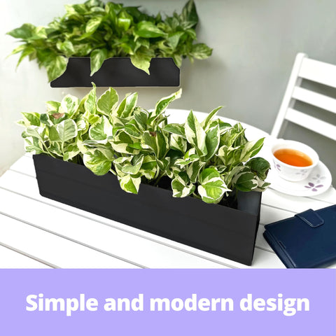 LaLaGreen wall garden display transforms walls into charming focal points