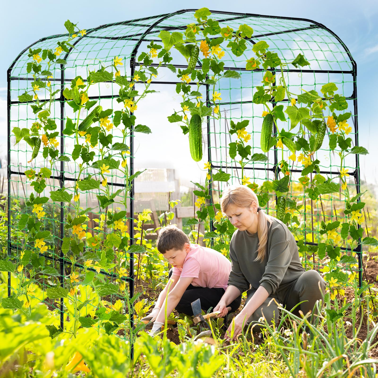 Lalahoni arch with netting offers sturdy support for vines and vegetables.