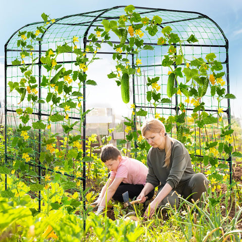 Lalahoni arch with netting offers sturdy support for vines and vegetables.
