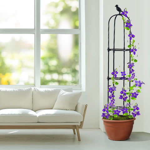 Lalahoni black garden trellis creates neat plant displays outdoors.