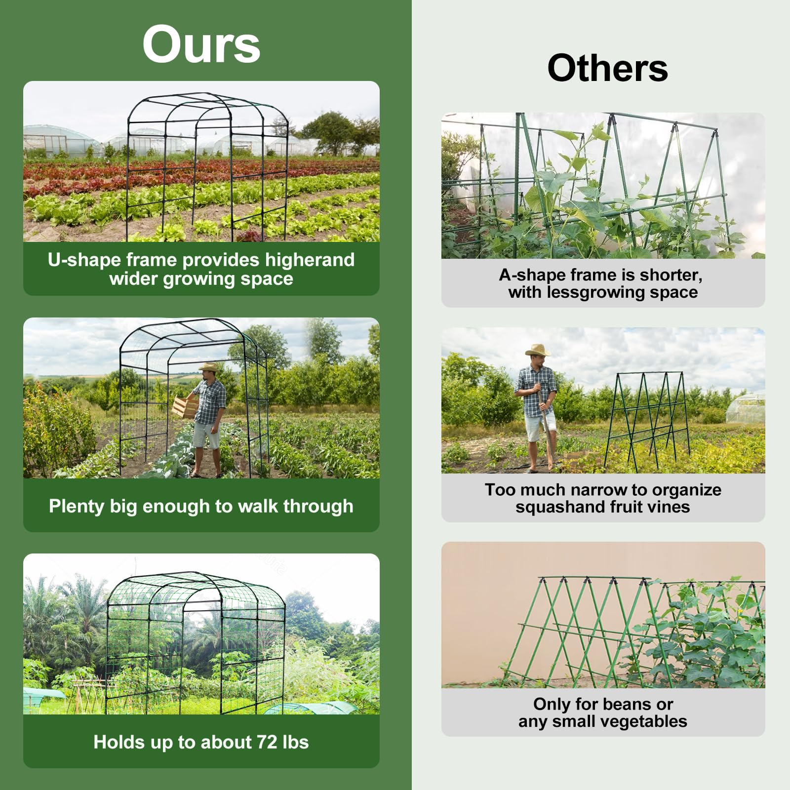 Lalahoni climbing-plants arch creates an attractive walkway and growing space.