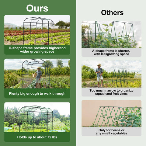 Lalahoni climbing-plants arch creates an attractive walkway and growing space.
