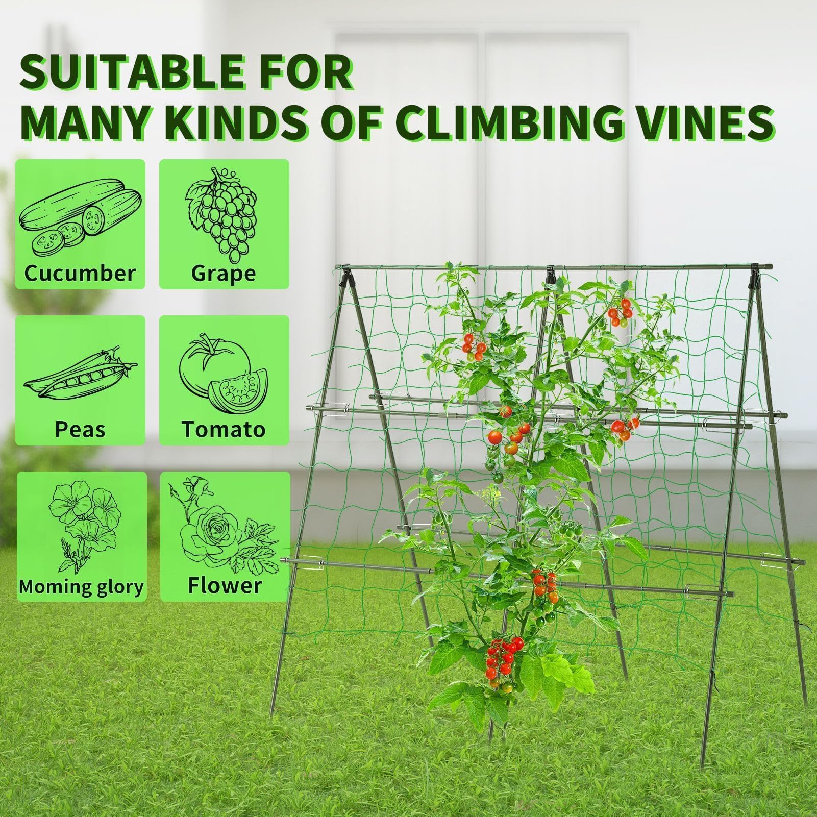Lalahoni trellis folded for easy storage after growing season