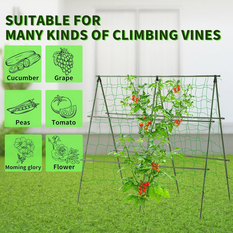 Lalahoni trellis folded for easy storage after growing season