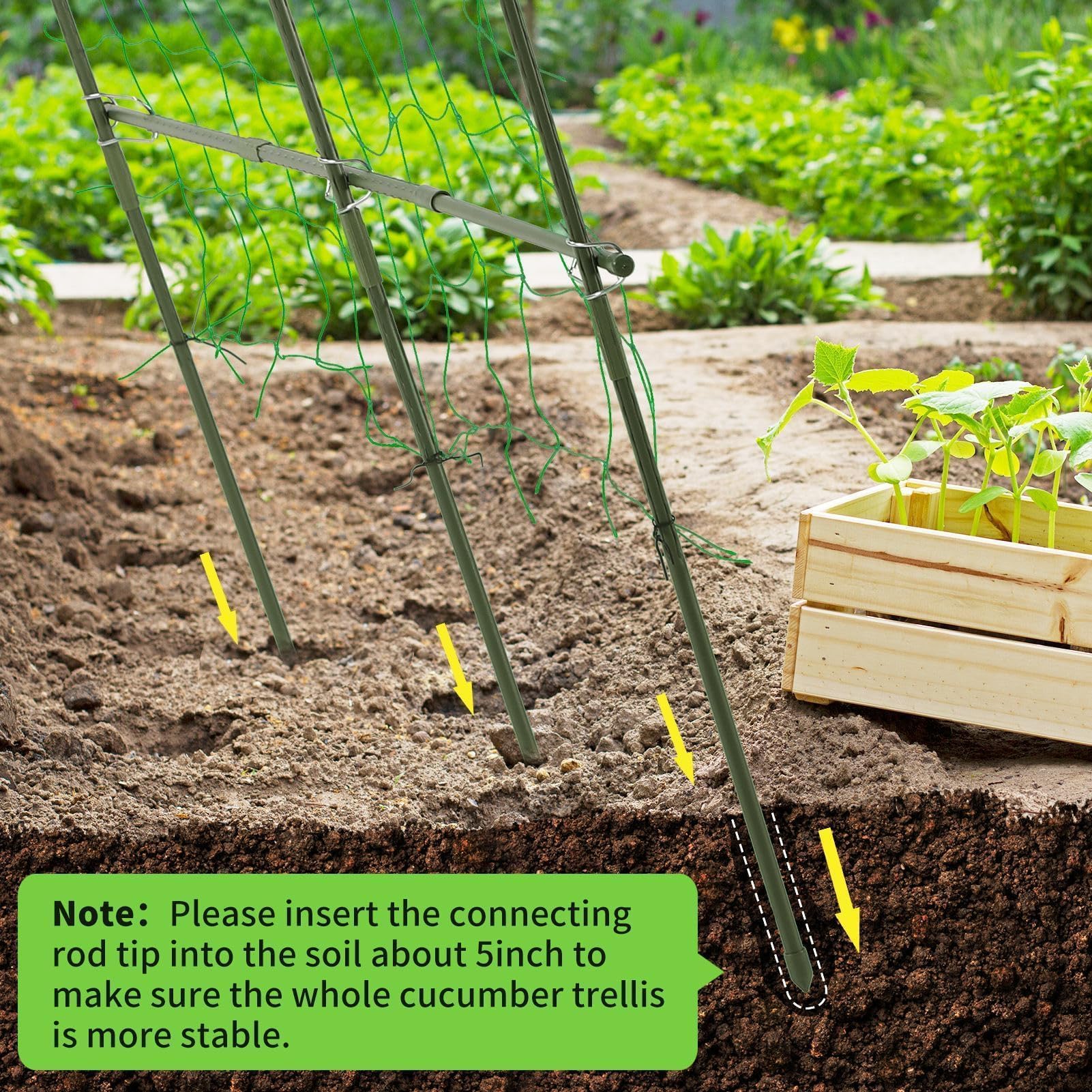 Lalahoni cucumber trellis wind resistant and stable in breeze