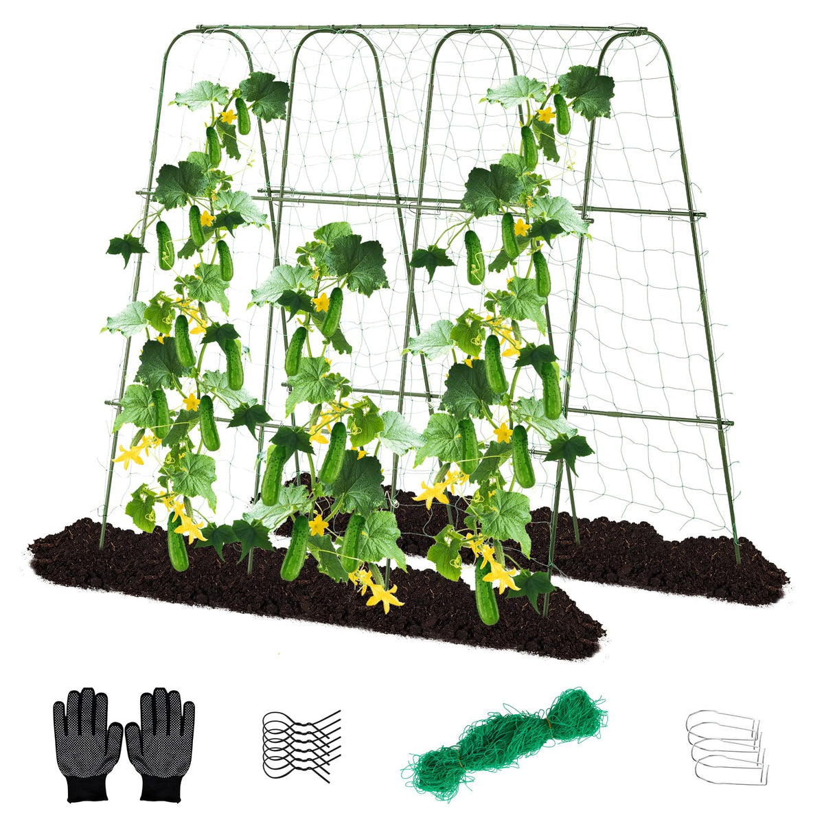 Lalahoni 65x65 arch trellis supports cucumber vines for vertical growth.