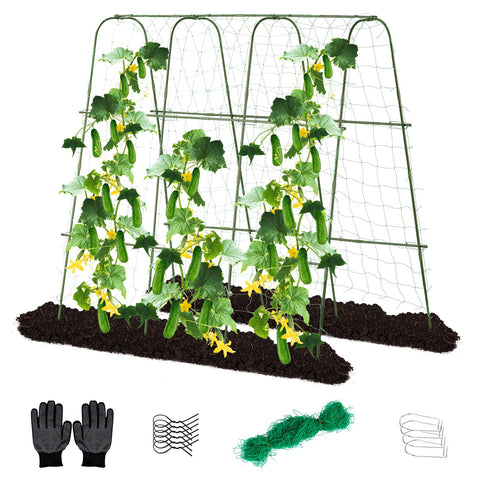 Lalahoni 65x65 arch trellis supports cucumber vines for vertical growth.