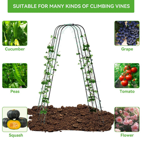 Lalahoni garden arch with netting ready for immediate use.