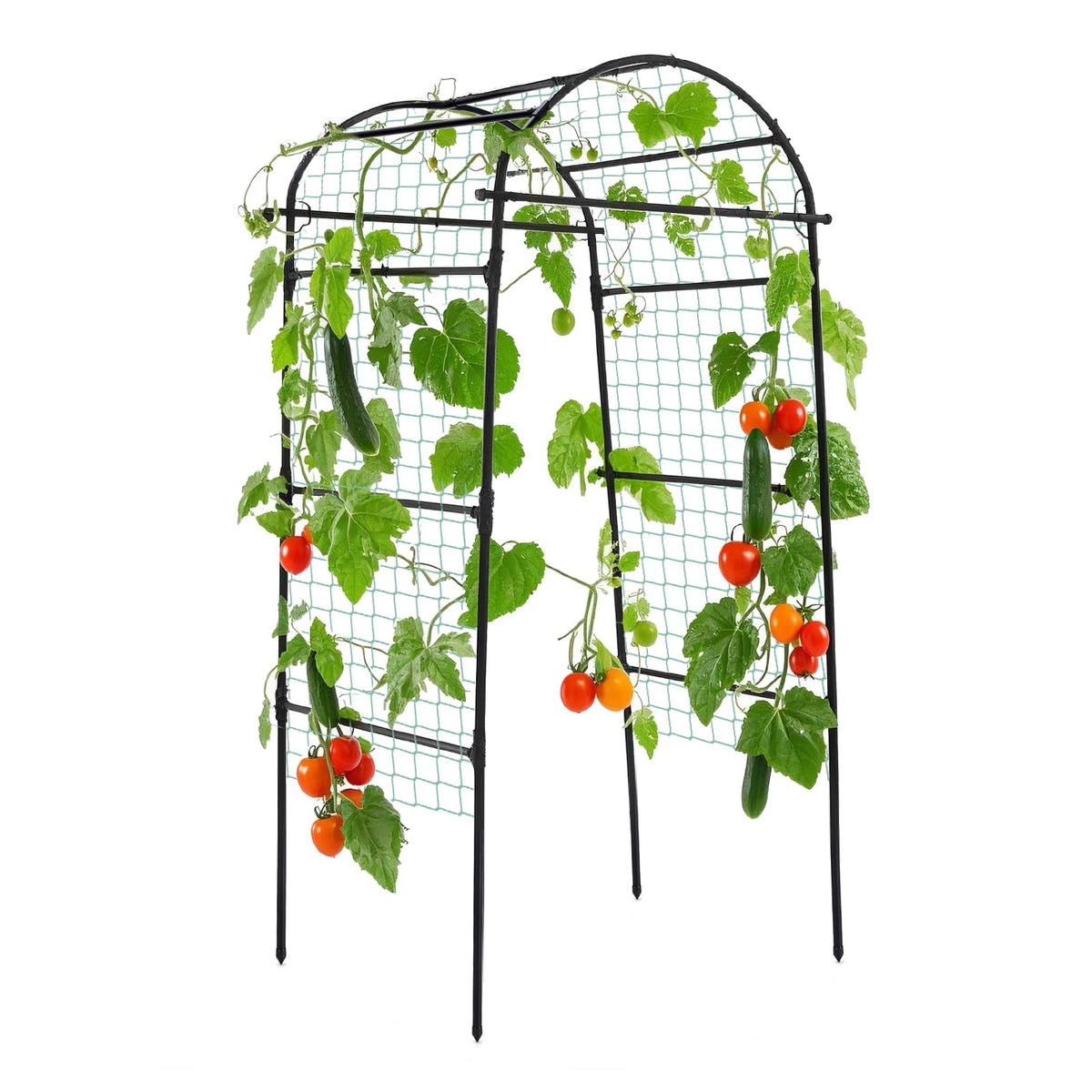 Lalahoni garden arch trellis with 80-inch height supports climbing vines and entryways.