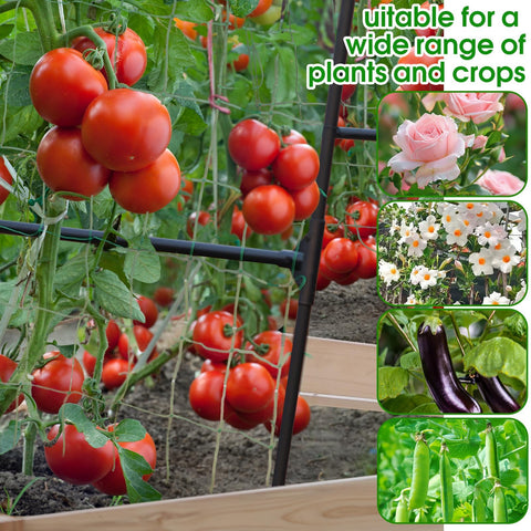 Easy, tool-free assembly of the Lalahoni trellis for raised beds.