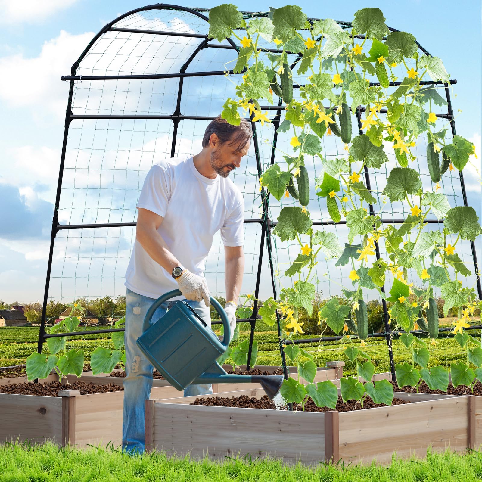 Overhead view of Lalahoni trellis demonstrates arch-friendly support for vines.