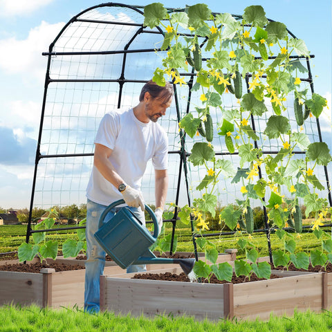 Overhead view of Lalahoni trellis demonstrates arch-friendly support for vines.