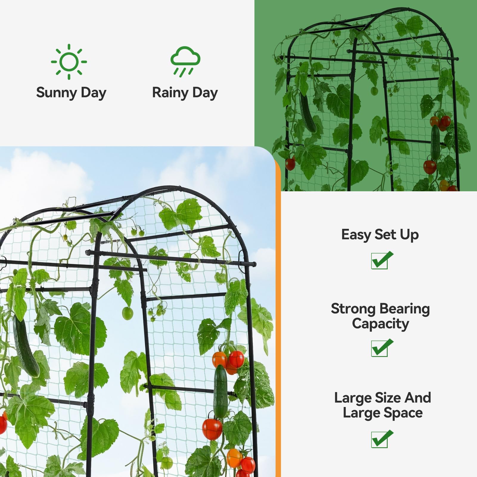 Lalahoni black metal arch enables vertical gardening and easy access for plants.