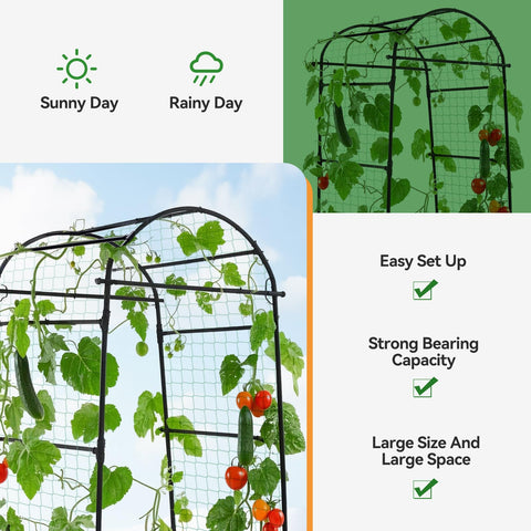 Lalahoni black metal arch enables vertical gardening and easy access for plants.