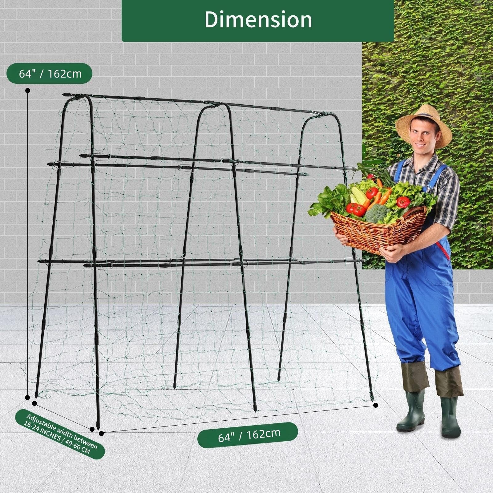 lalahoni metal arch plant support provides sturdy garden structure