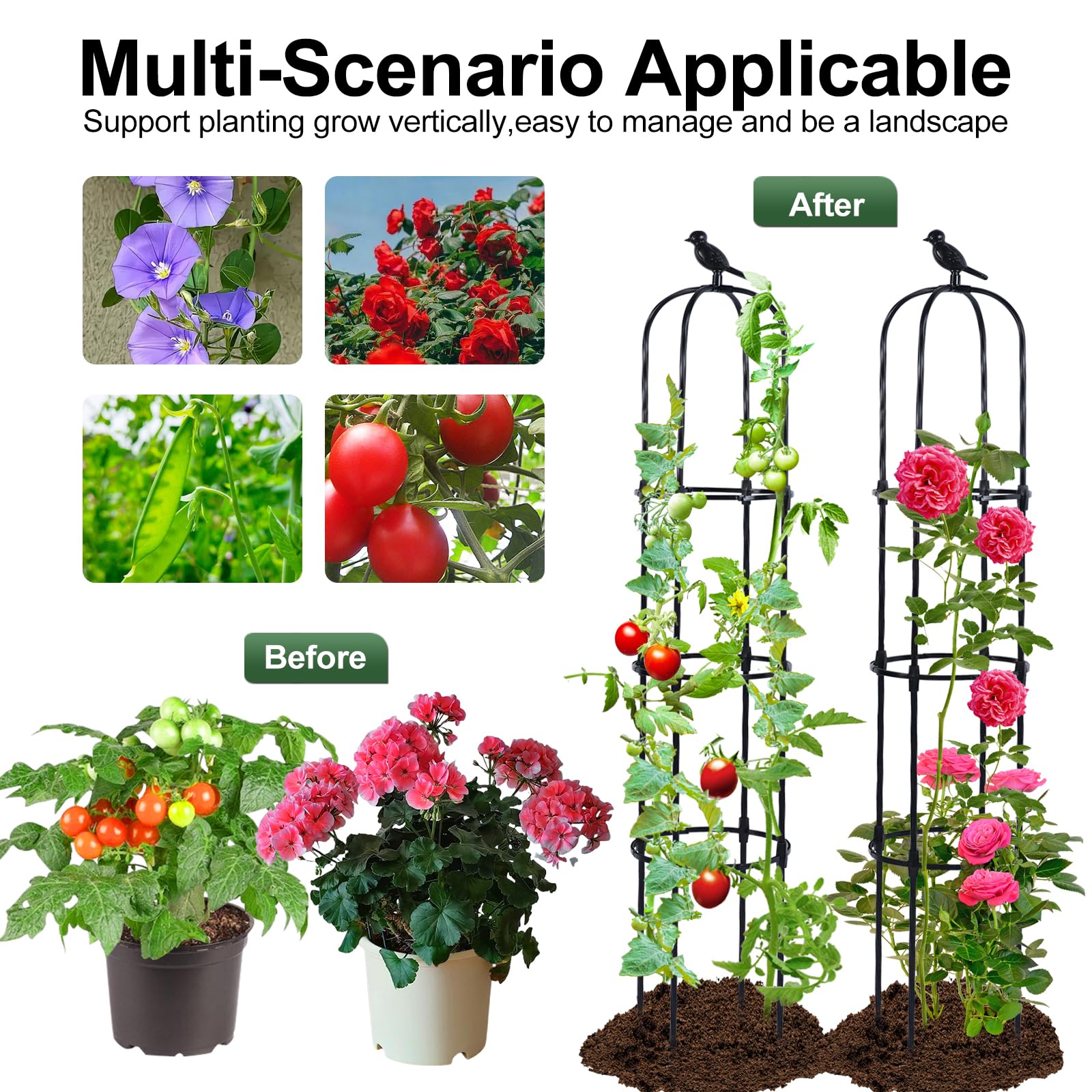 Lalahoni black metal plant support adds clean structure for outdoor plant displays.