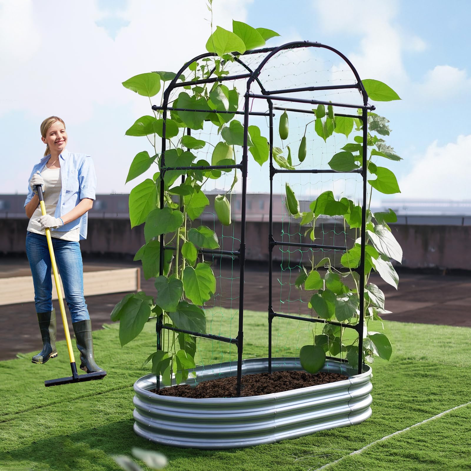 Lalahoni plant climbing trellis with flowers demonstrates vertical growth support.