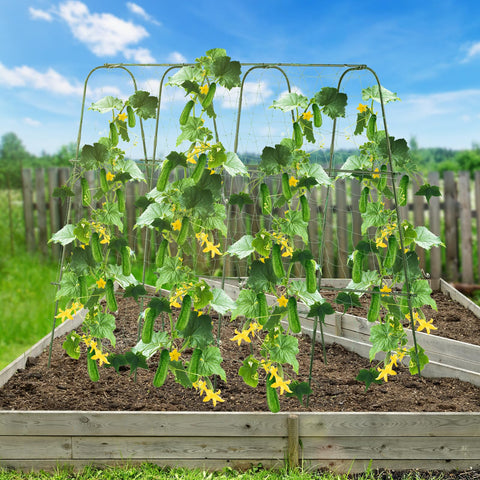 Lalahoni trellis ideal for raised-bed applications in gardens.