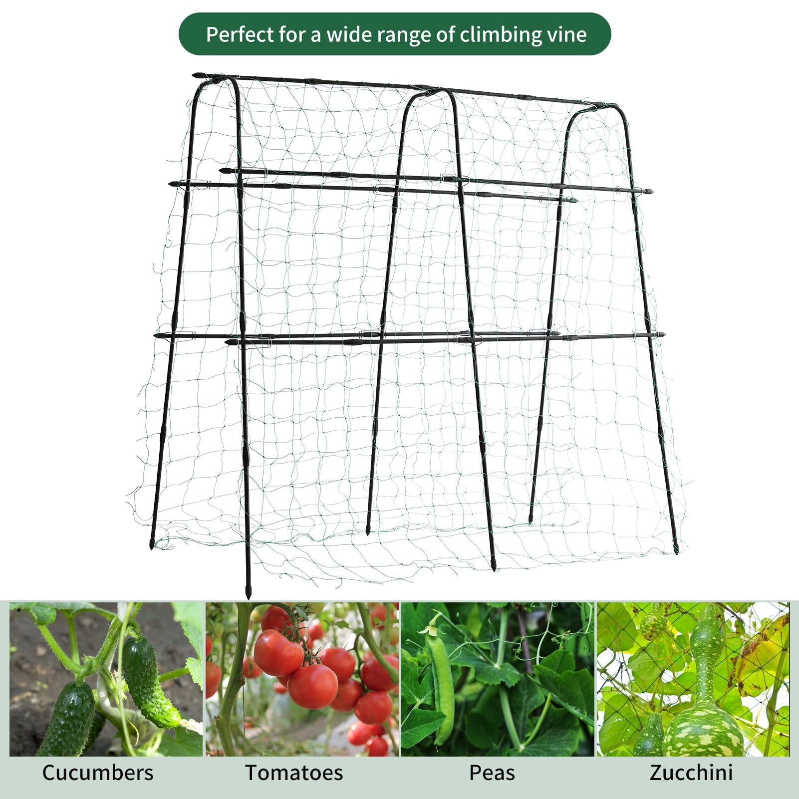 lalahoni raised-bed climbing trellis optimizes vertical growing