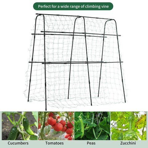 lalahoni raised-bed climbing trellis optimizes vertical growing