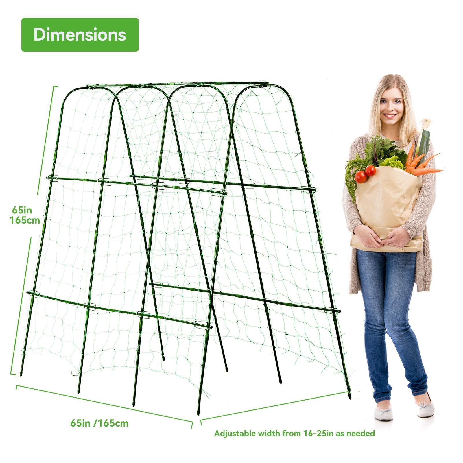 Lalahoni u-shape arch promotes airflow around climbing plants.