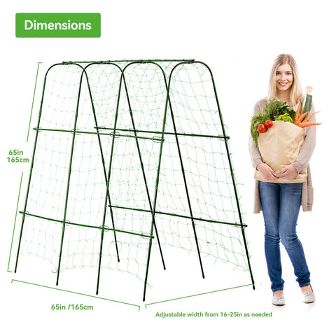 Lalahoni u-shape arch promotes airflow around climbing plants.