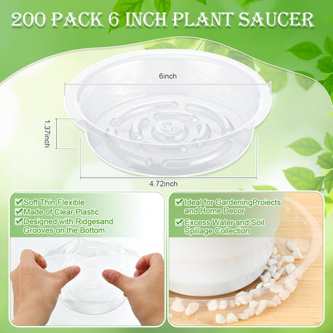 Lallisa 6-inch clear plastic saucer shows grooved bottom for airflow.
