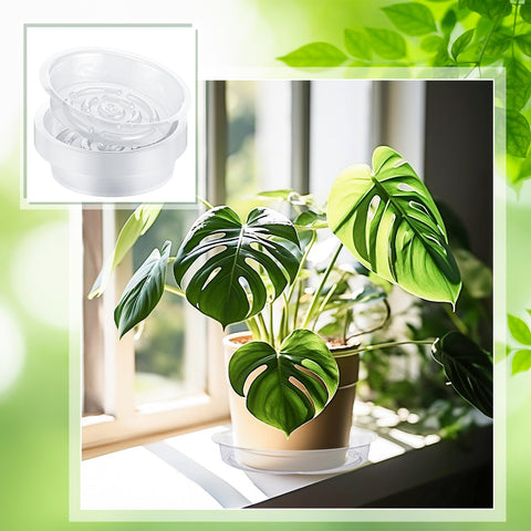 Lallisa saucer used as pet water tray for small animals.